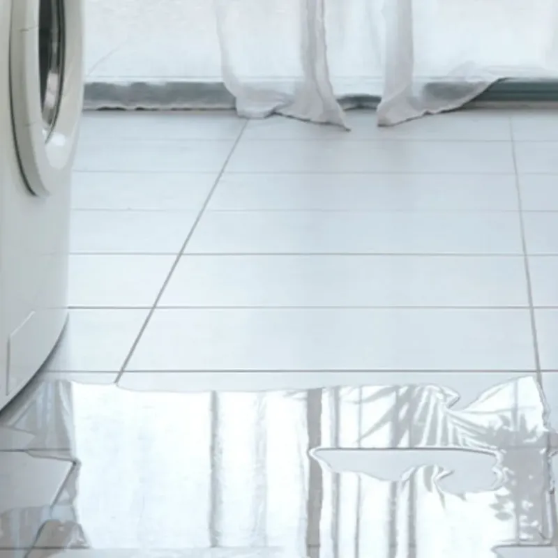Appliance Leak Cleanup in Blaine, TN
