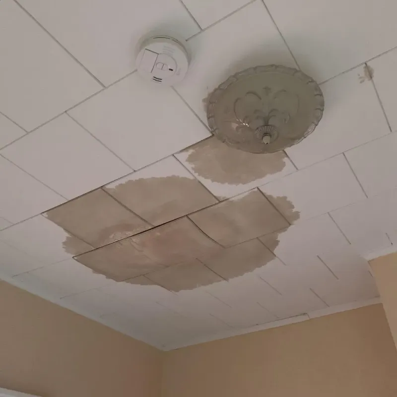 Ceiling Water Damage Repair in Blaine, TN