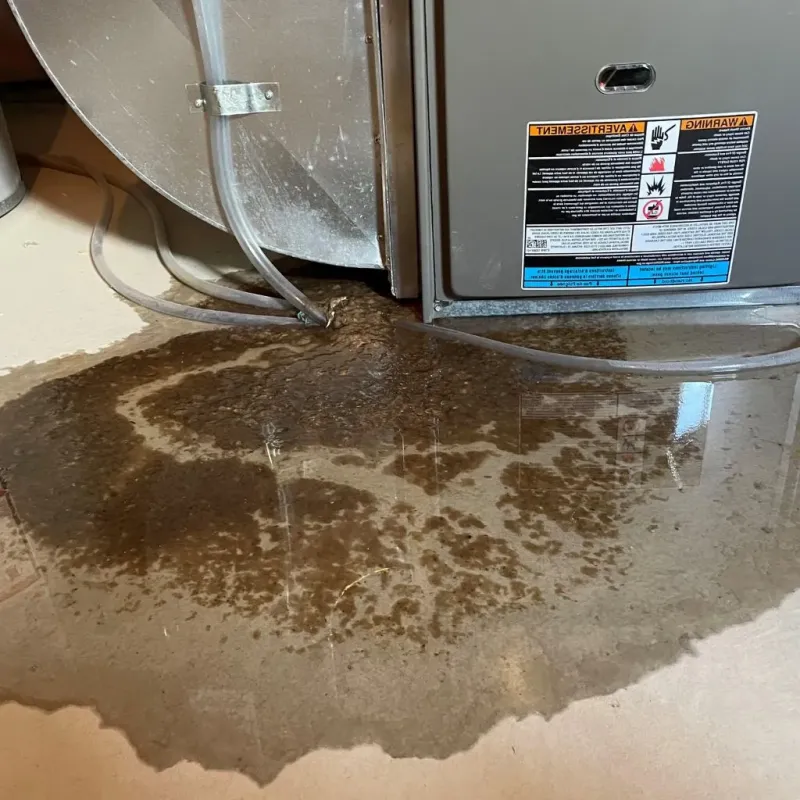 Pipe Burst and Leak Restoration in Blaine, TN